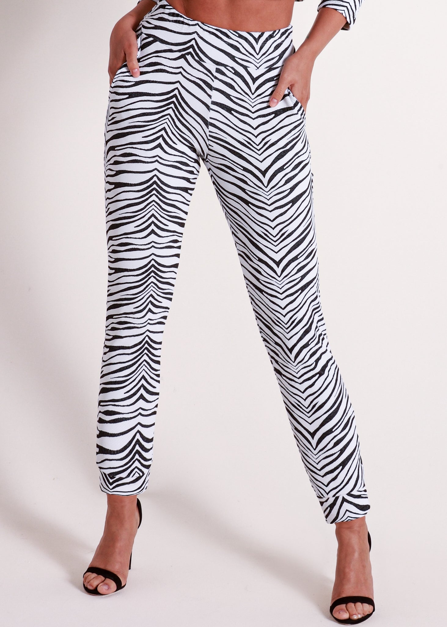 Jogger Pants Zebra